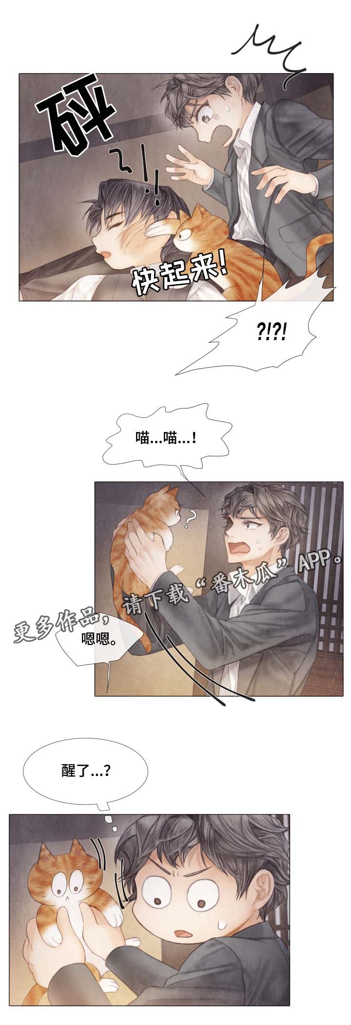 第42章：从未许诺给你9