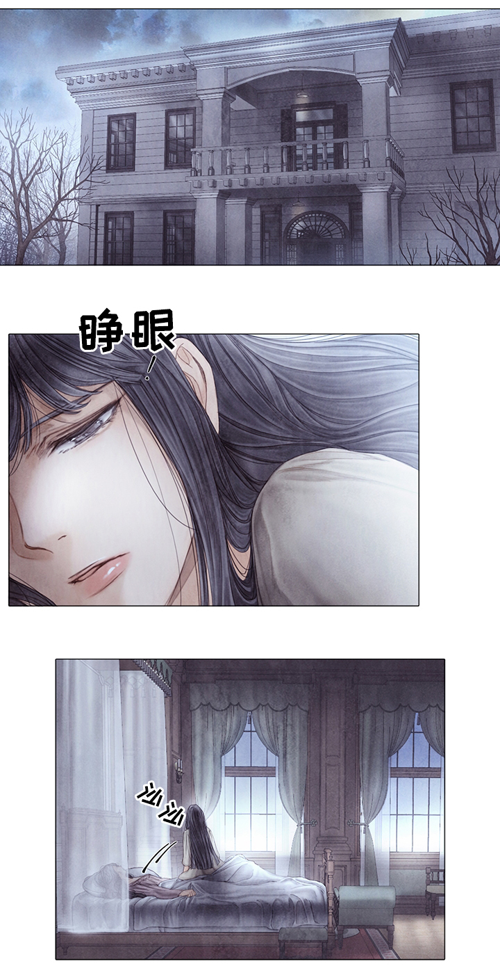 第52章：新的秘密0