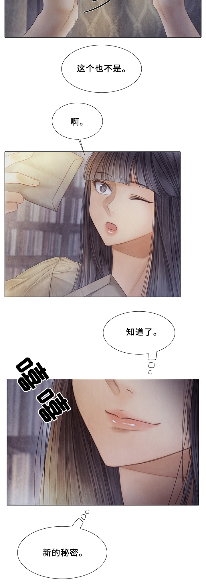 第52章：新的秘密11