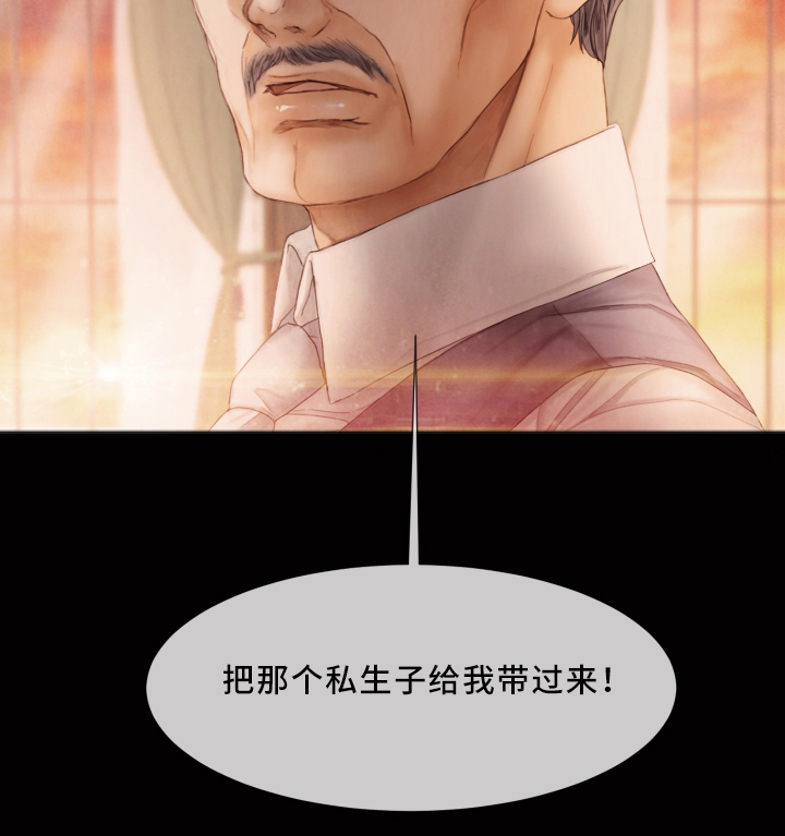 第65章：私生子13