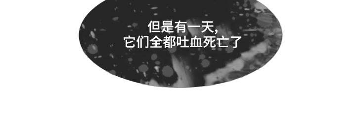 第35章：看望12