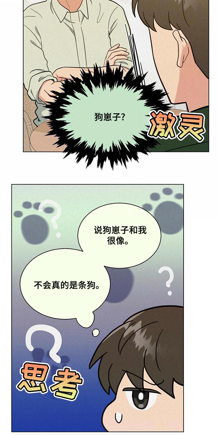 第31章：庆幸11