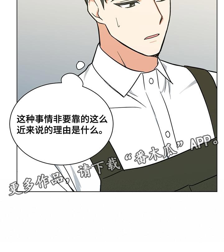 第28章：疯狂的理由26