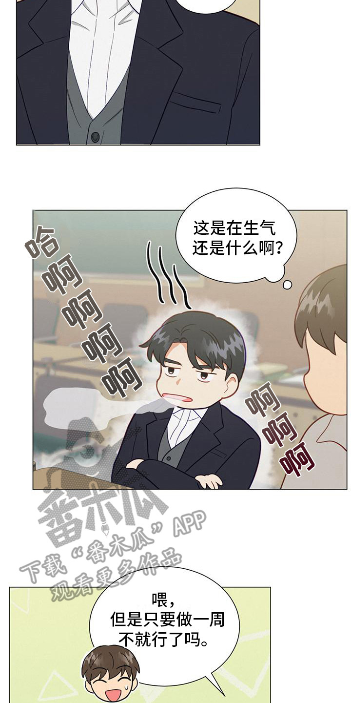 第21章：小组课题13