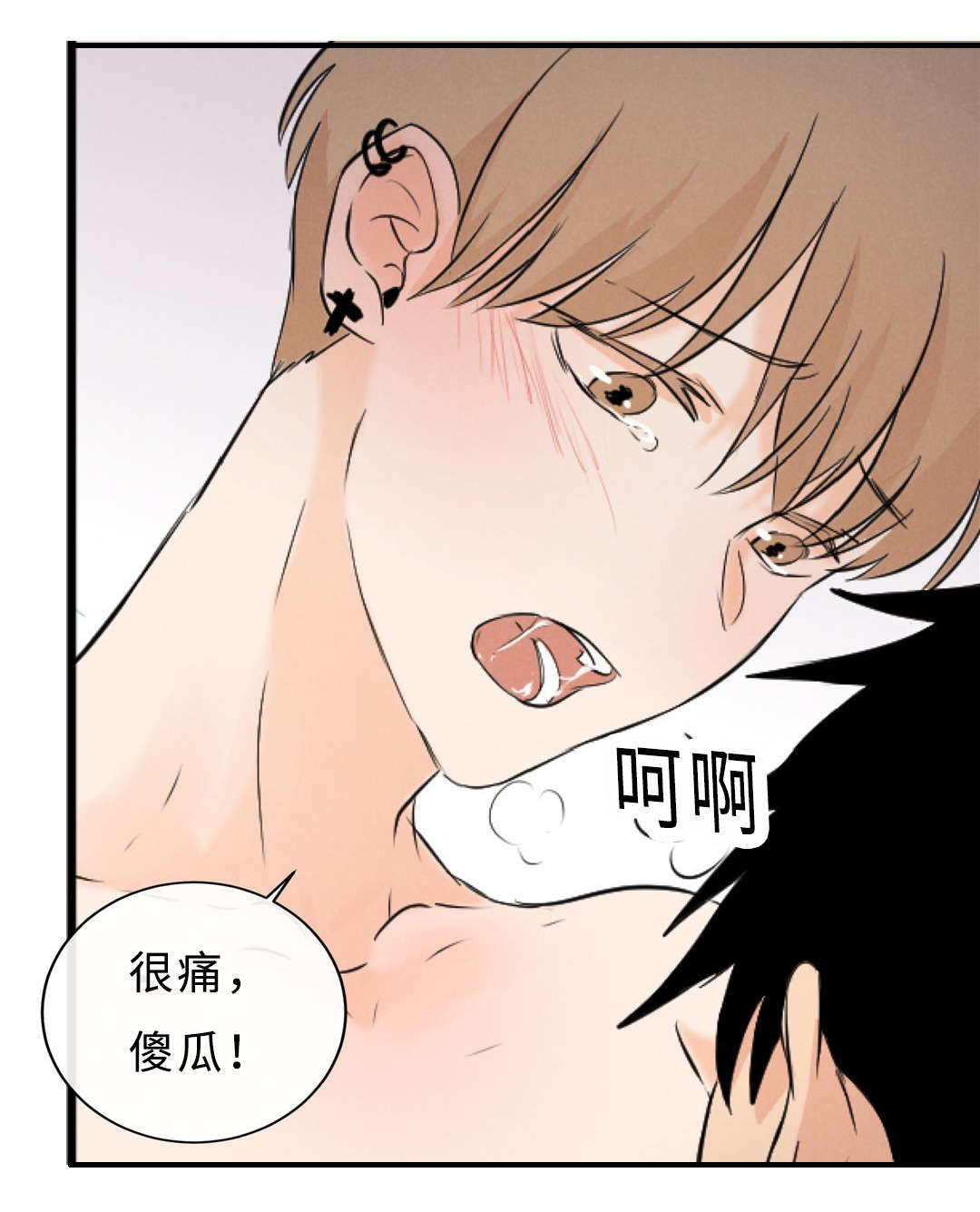 第53章：原谅我了吗0