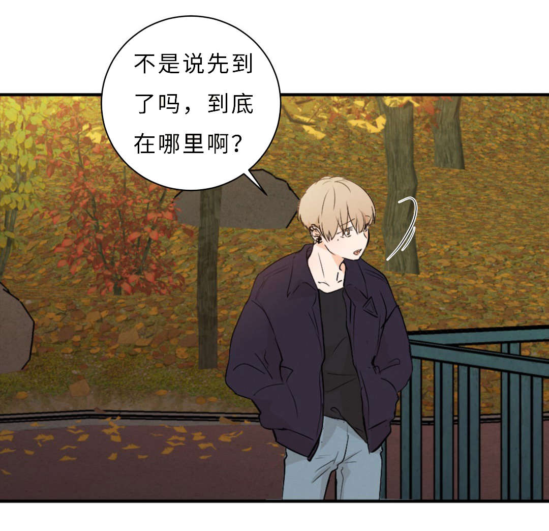 第56章：短发6