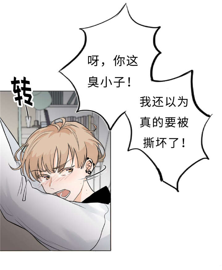 第11章：疯子30