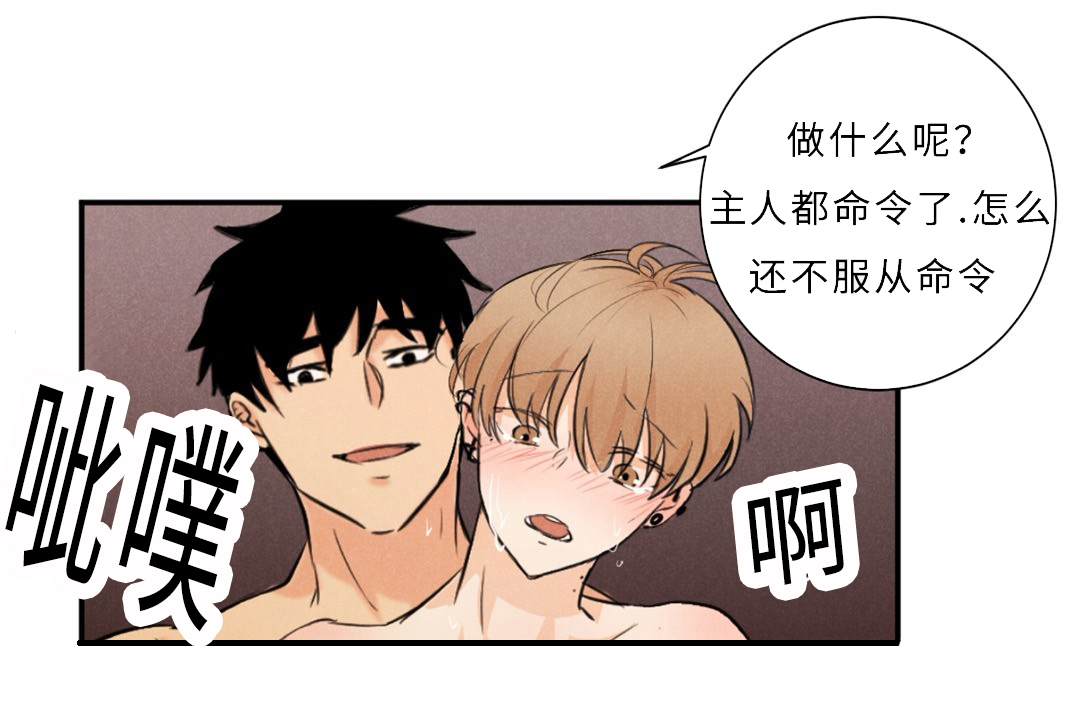 第9章：宝贵的记忆22