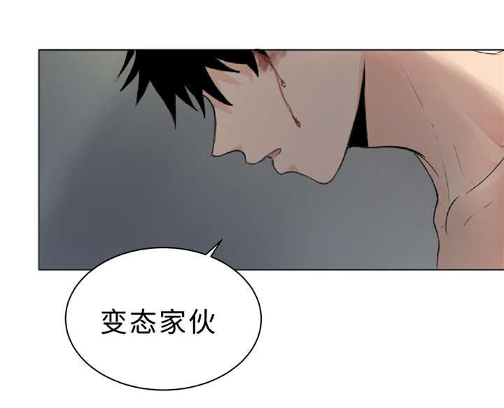 第11章：疯子33