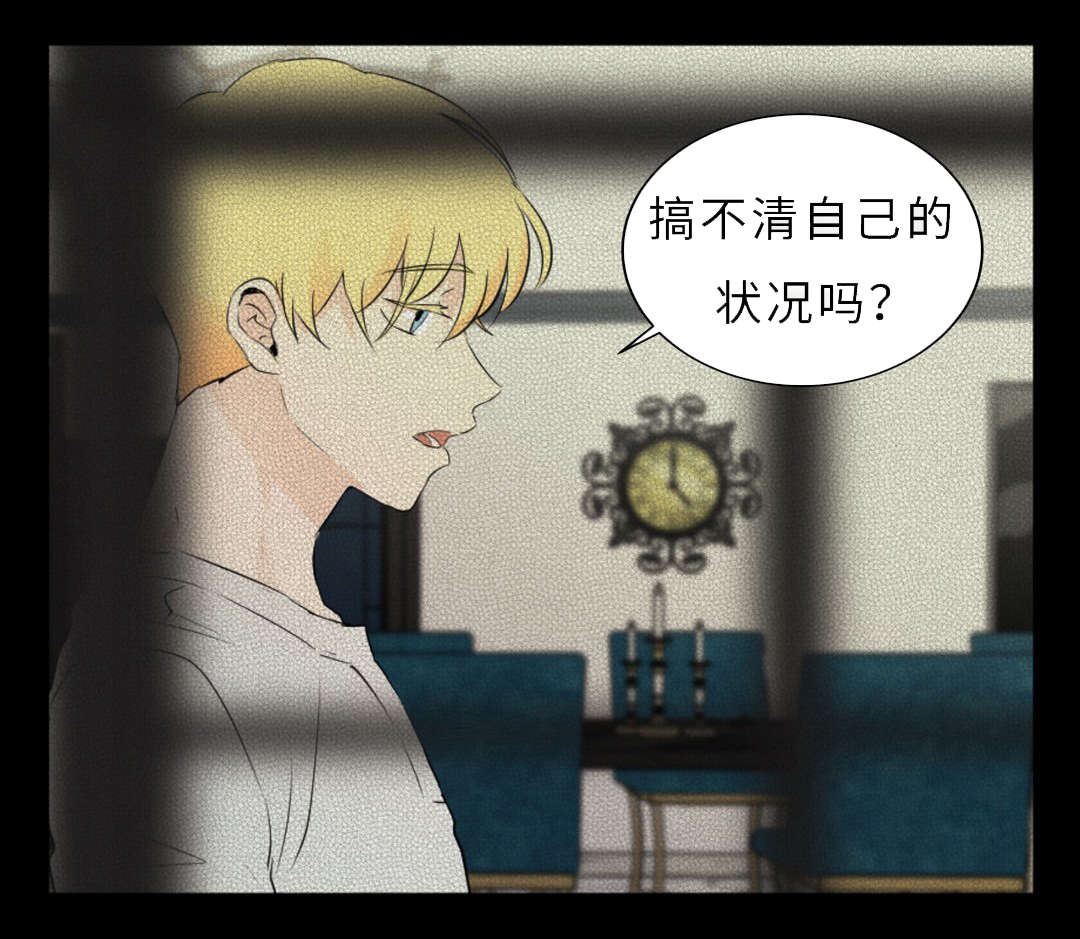 第51章：领养7