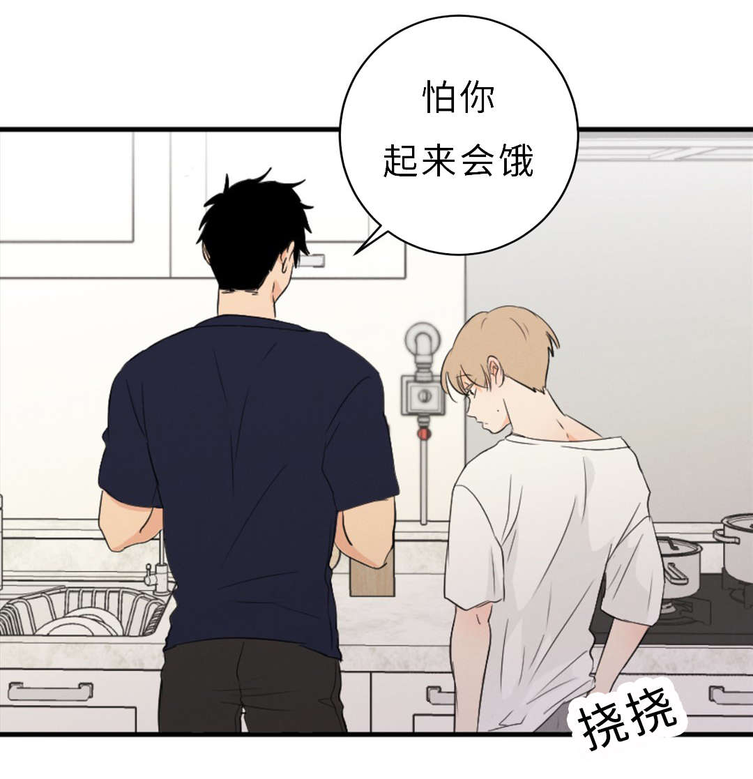第51章：领养20