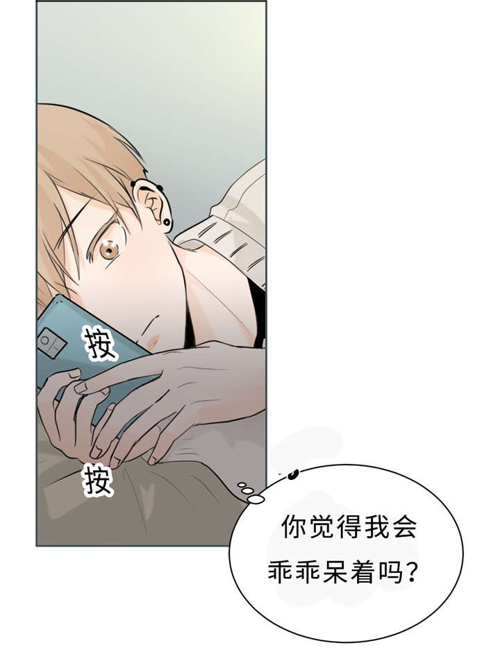 第15章：头痛6