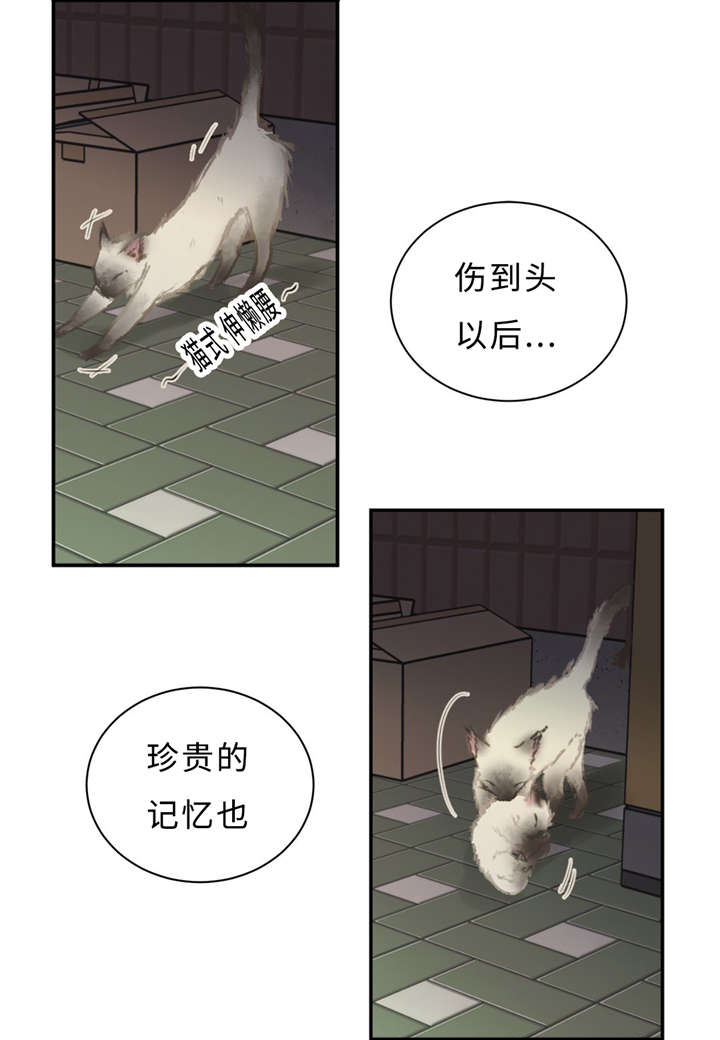 第29章：记不起27