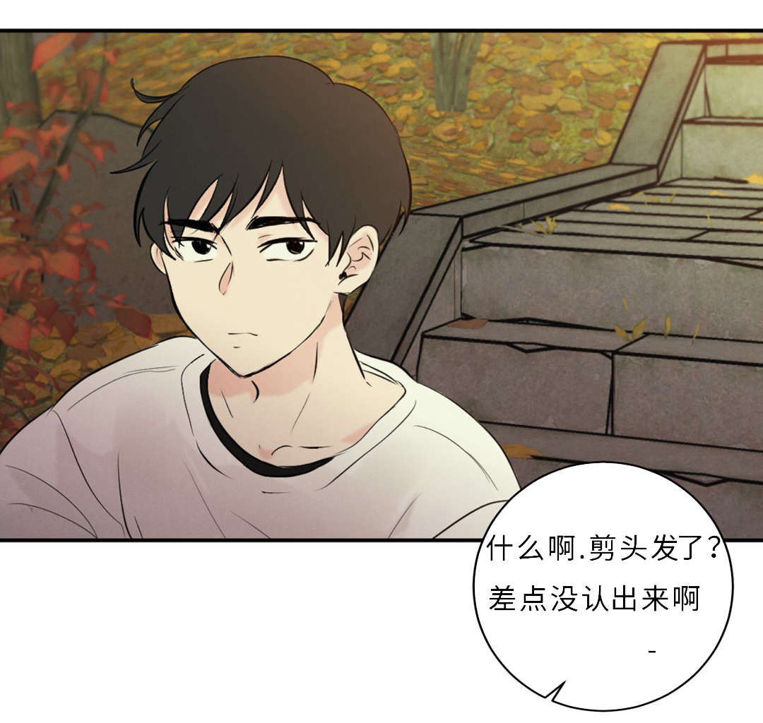 第56章：短发8