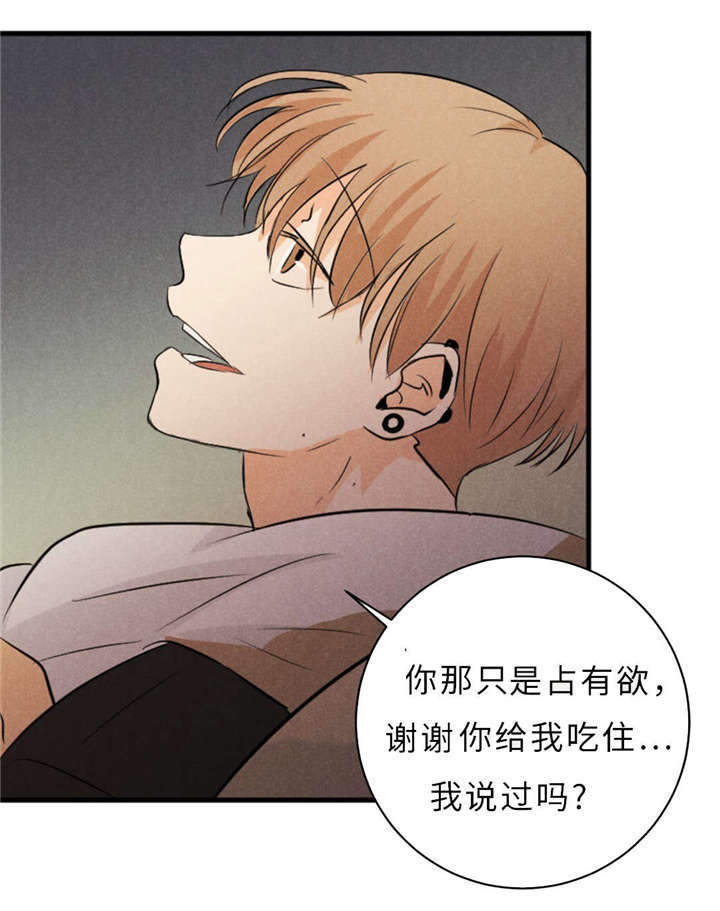 第46章：唯一去处21