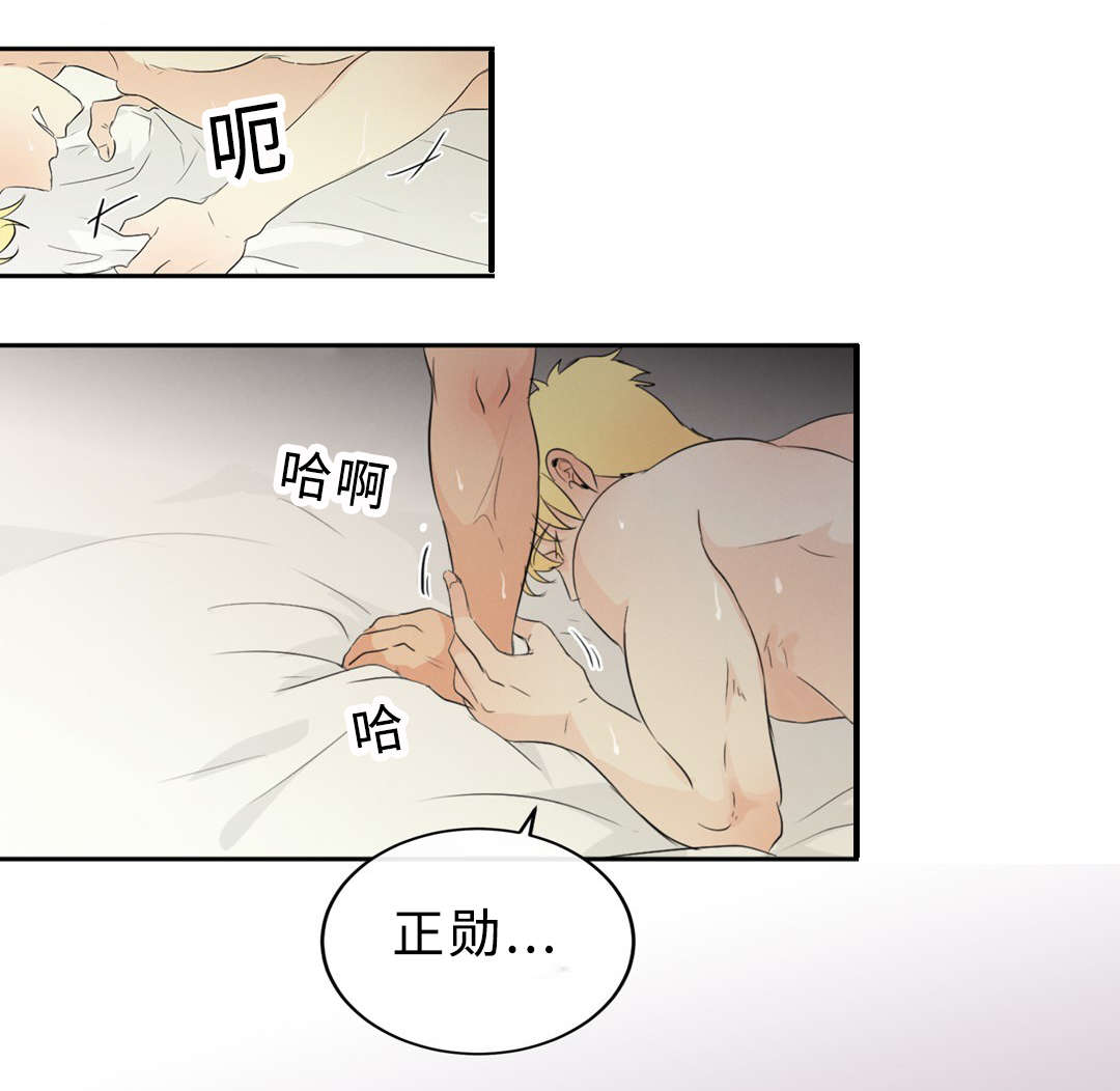 第51章：领养17