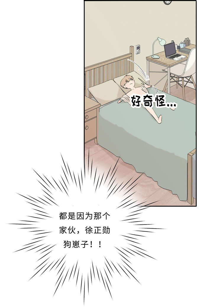第15章：头痛33