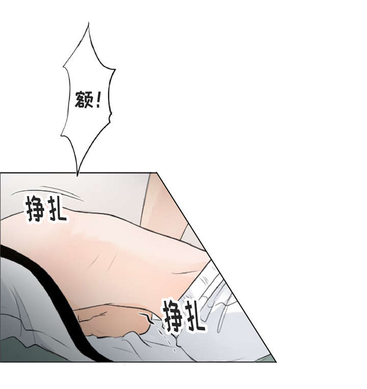 第11章：疯子17