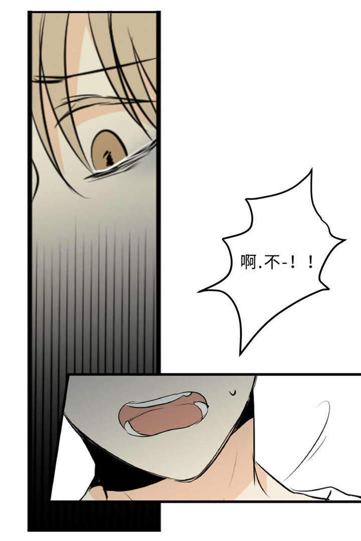 第41章：话多13