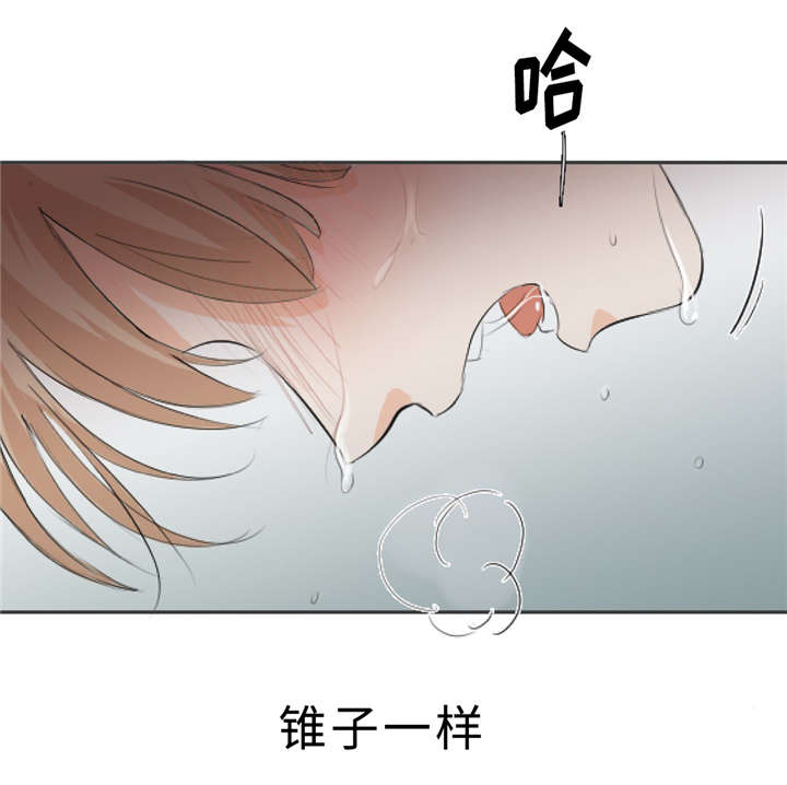 第7章：那些感情33