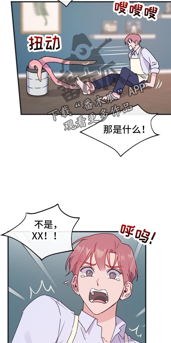 第19章：怀念7