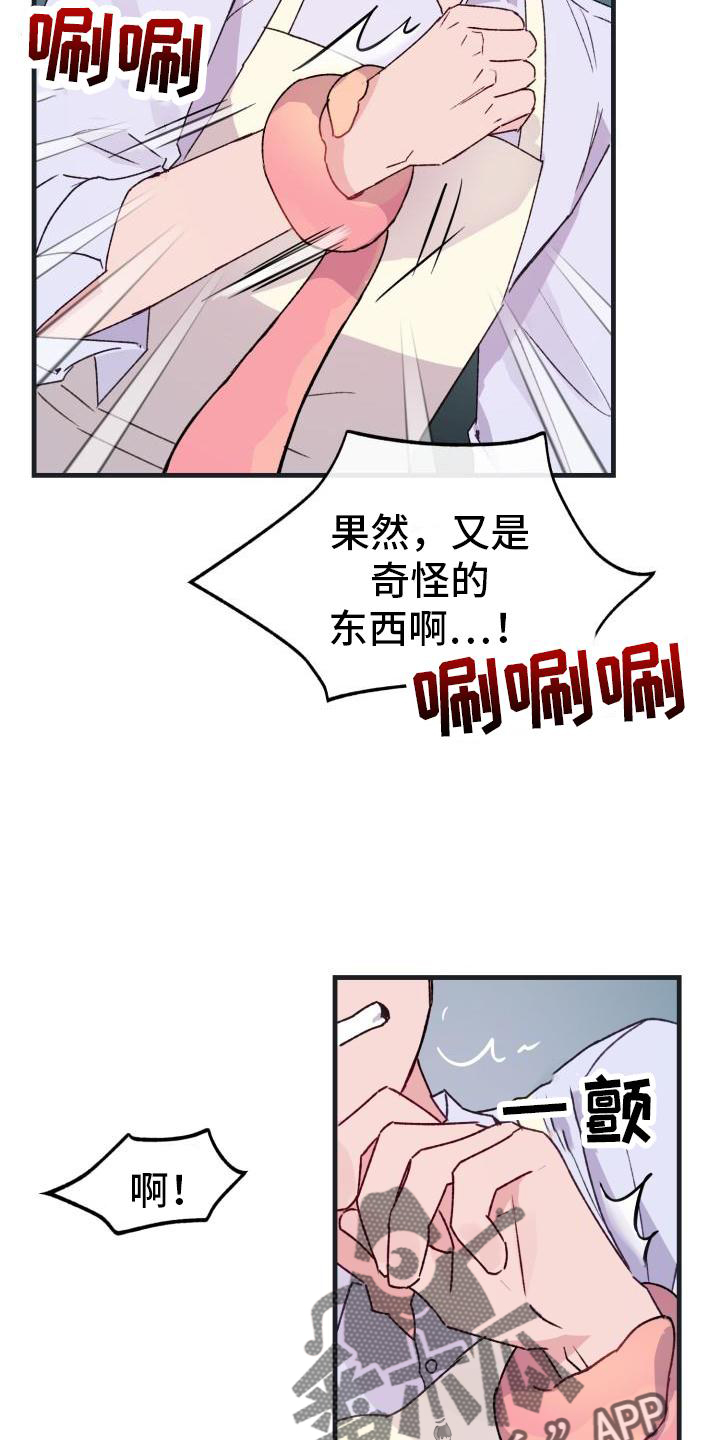 第19章：怀念8