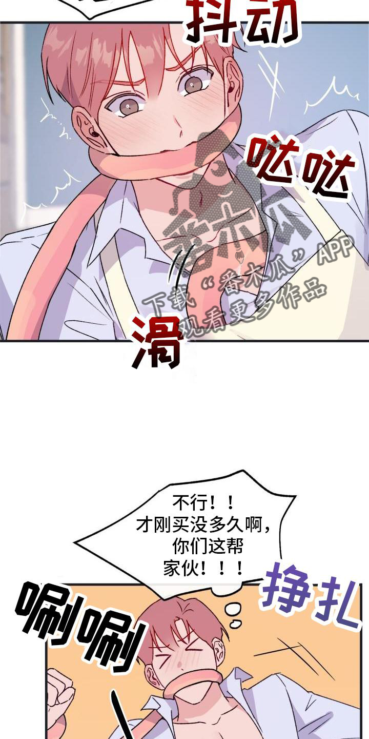 第19章：怀念12