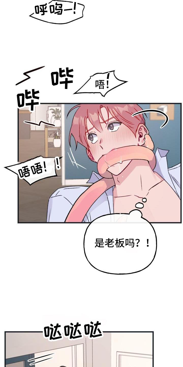 第19章：怀念14