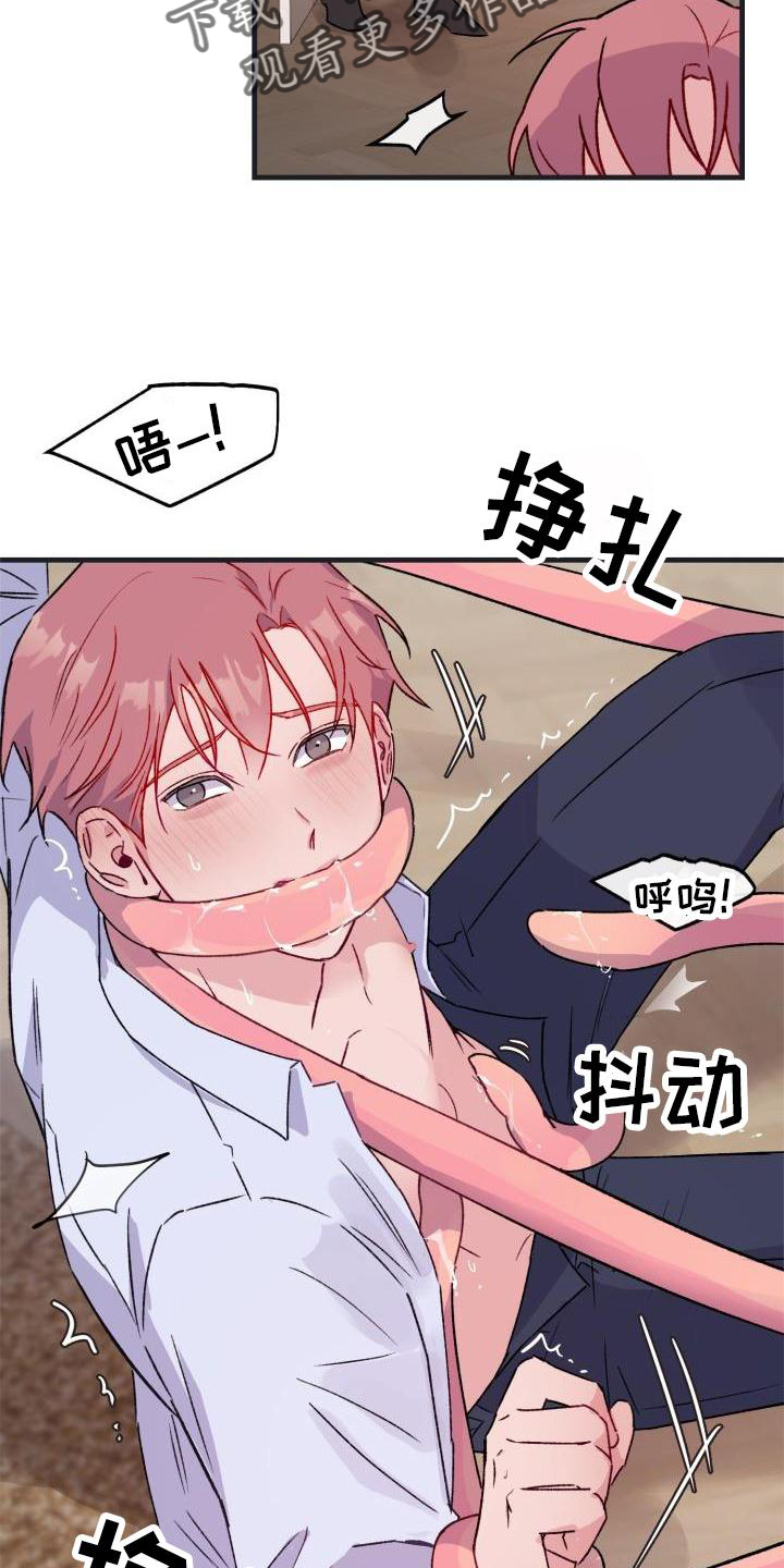 第19章：怀念17