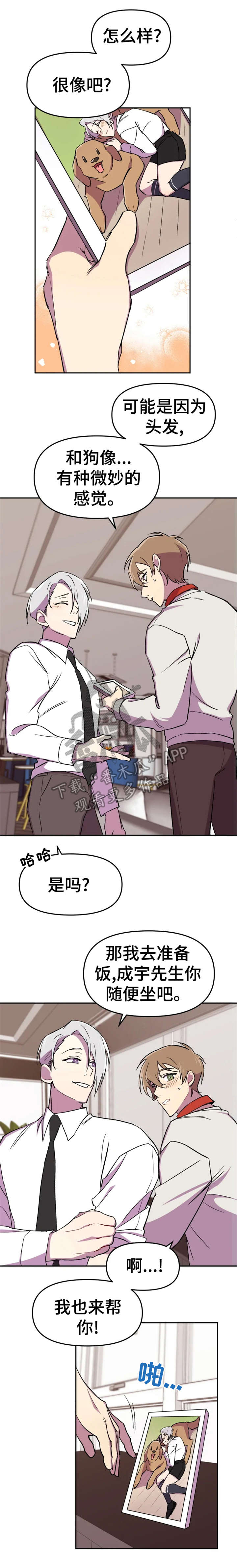 第11章：狗狗3