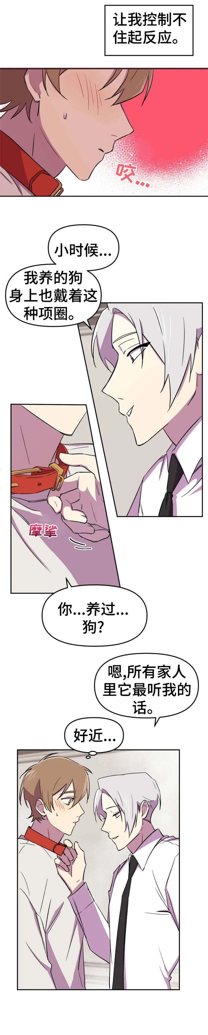 第11章：狗狗0
