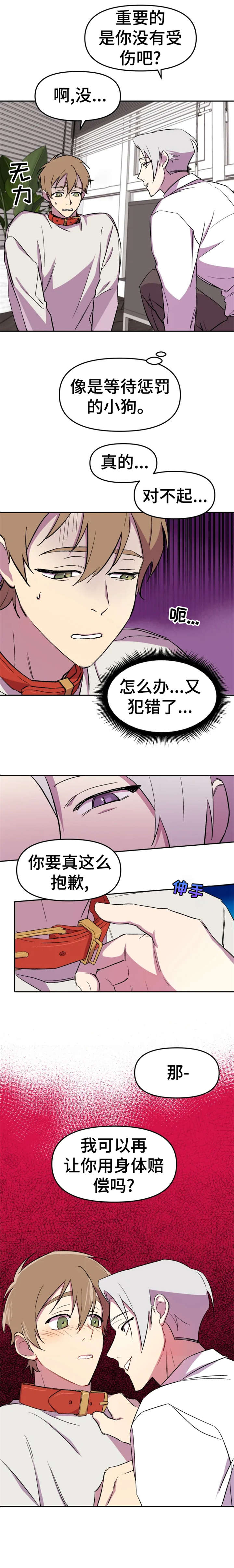 第11章：狗狗5