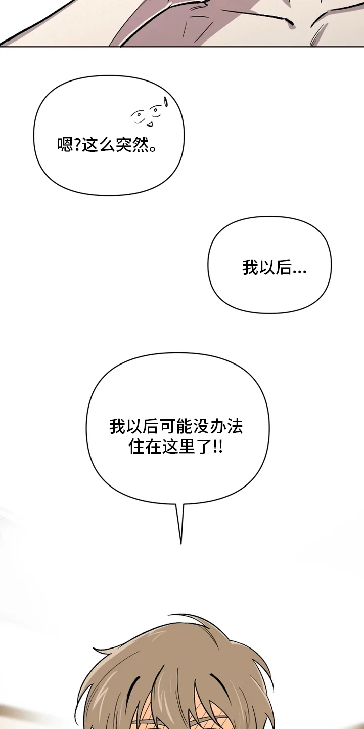 第79章：【番外完结】浪漫15