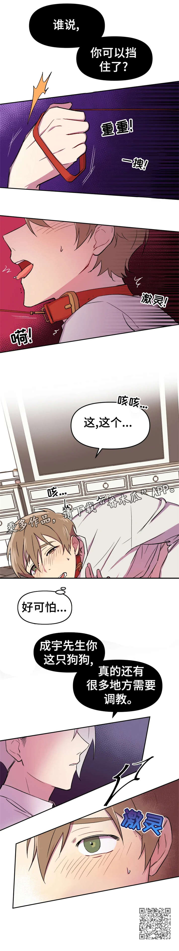 第11章：狗狗8