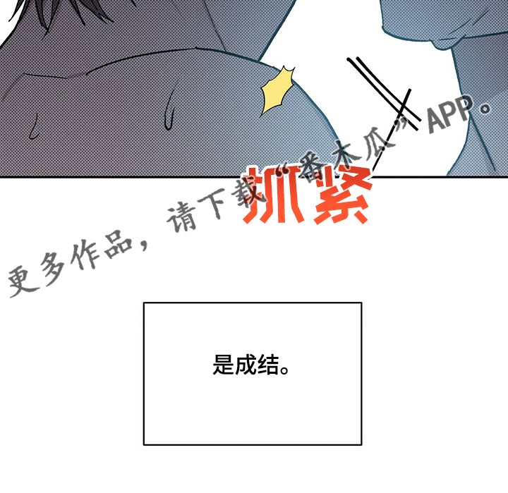 第73章：不是你希望的吗13