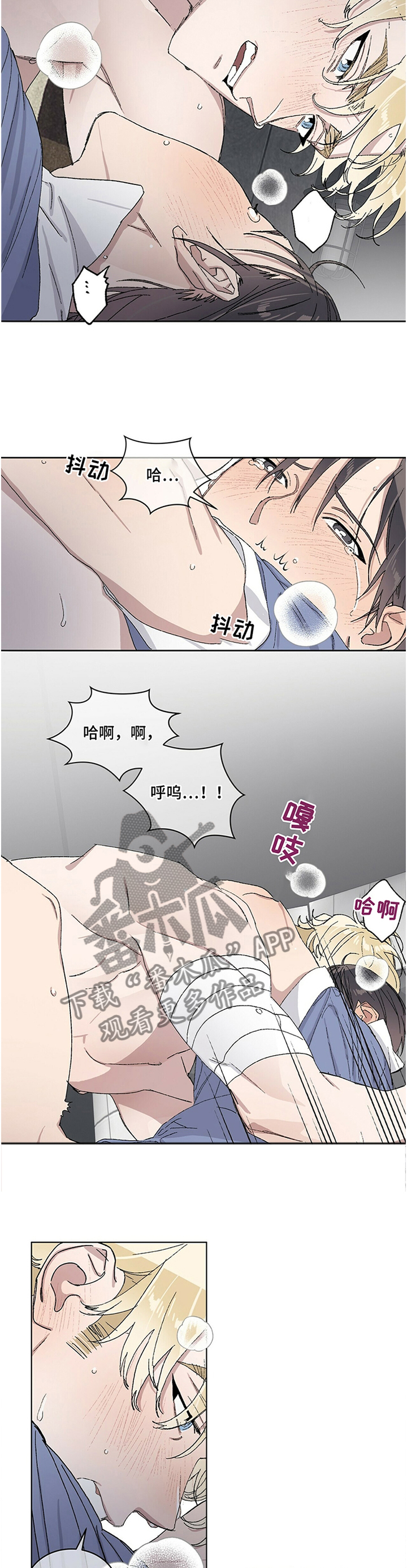 第30章：这次绝对5