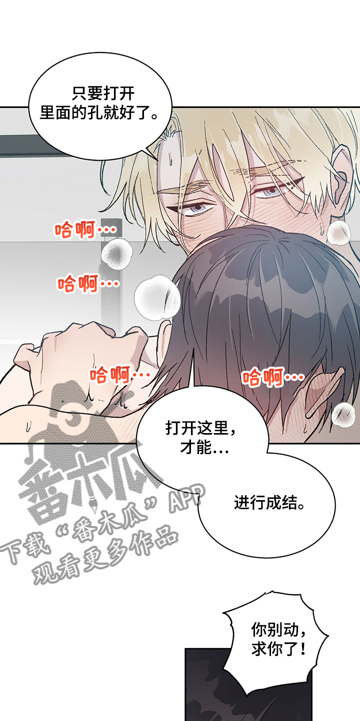 第73章：不是你希望的吗6