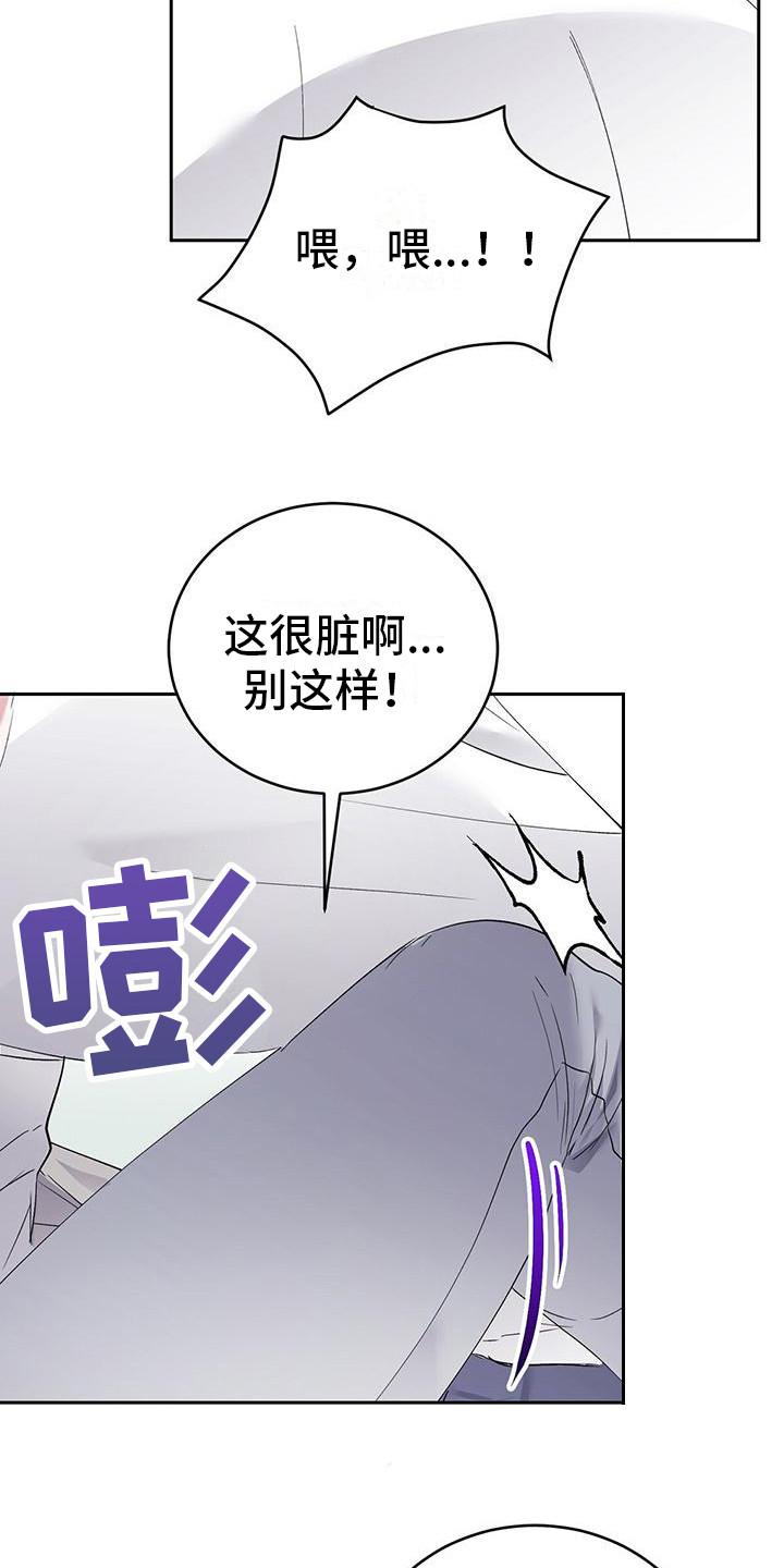 第18章：闻味道 22
