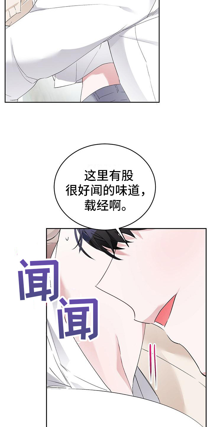 第18章：闻味道 21