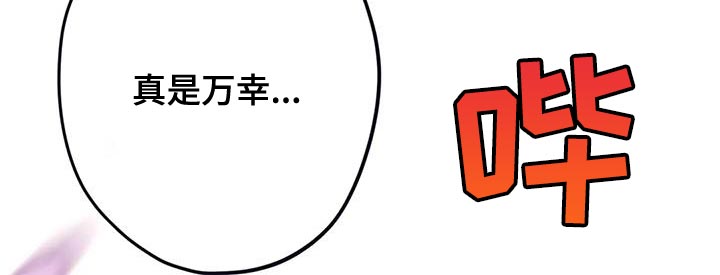 第23章：真是万幸17