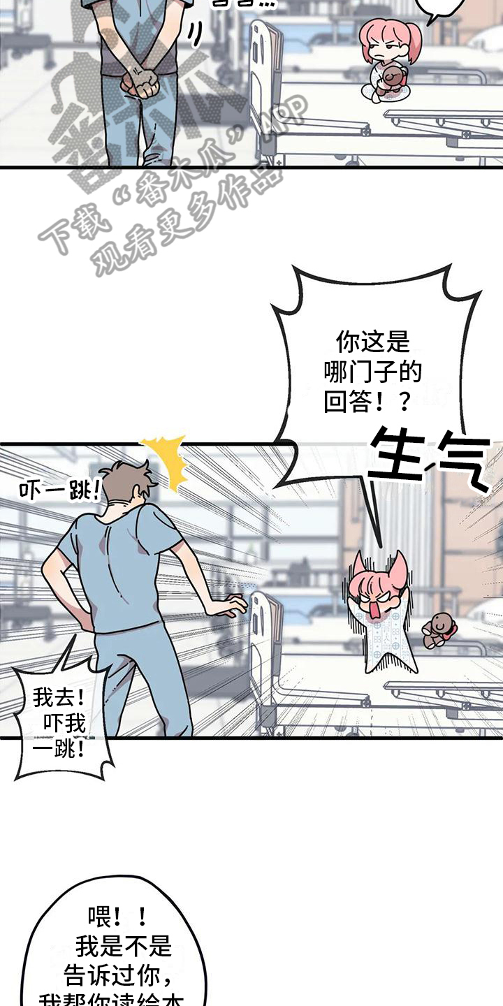 第4章：新的小熊5