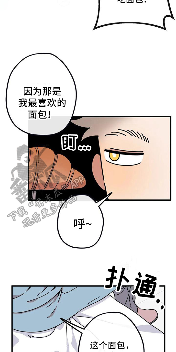 第4章：新的小熊11