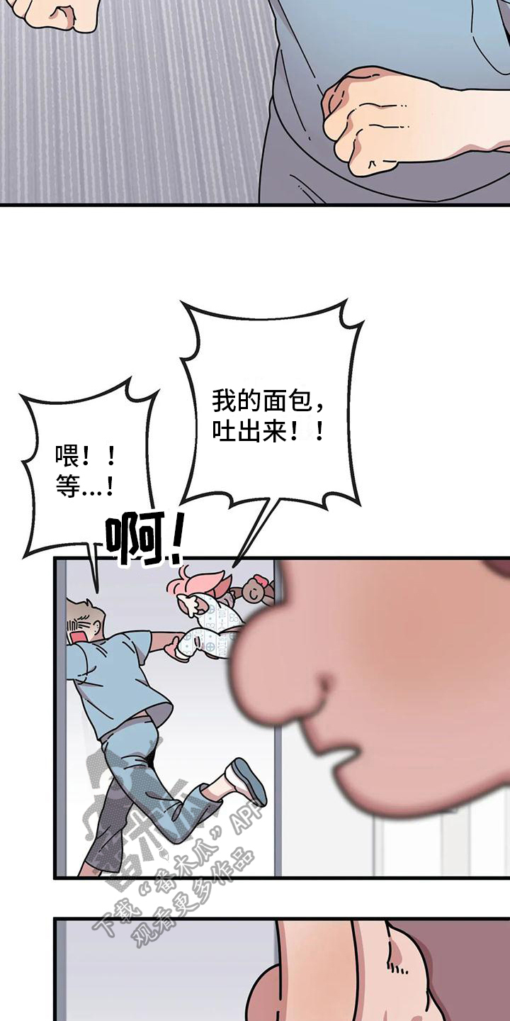 第4章：新的小熊16