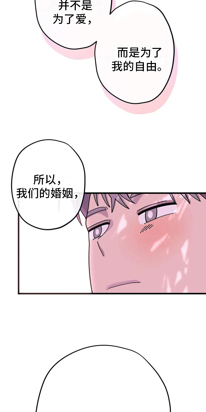 第16章：没有爱情的婚姻6