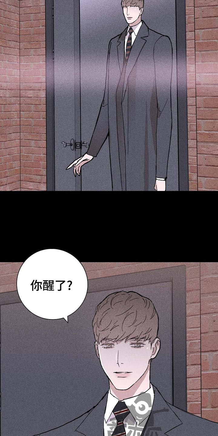 第73章：【第二季】伙伴19