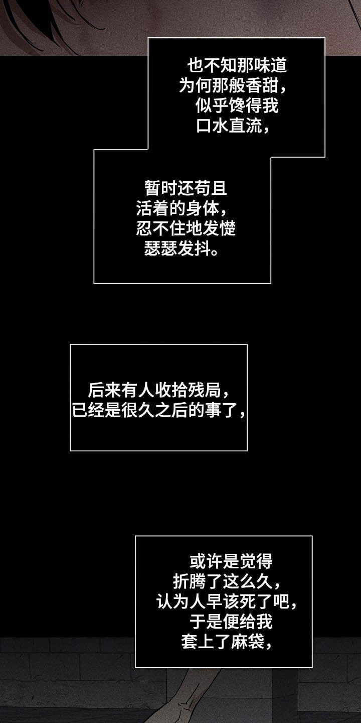 第47章：过往19