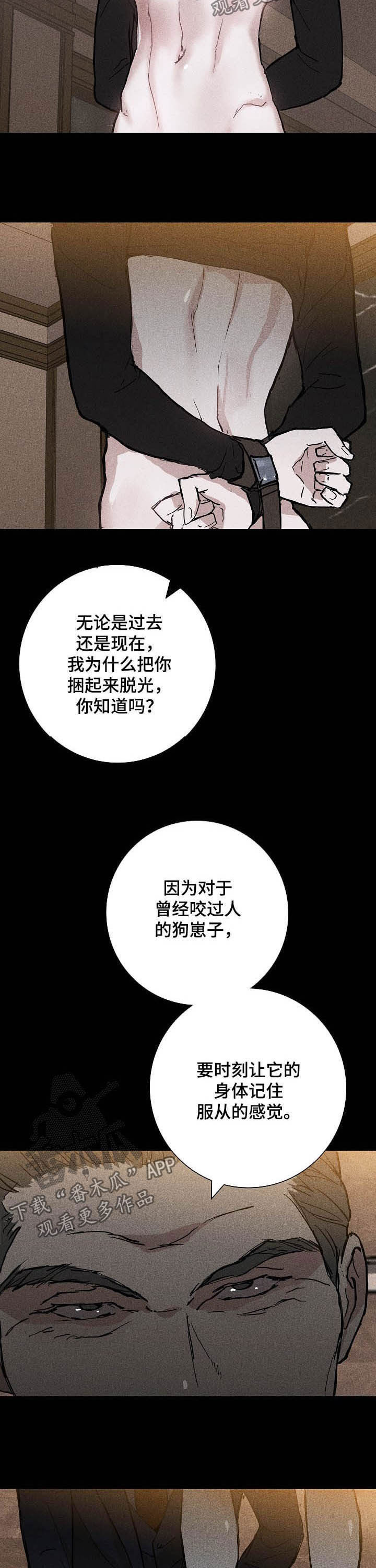 第34章：留下11