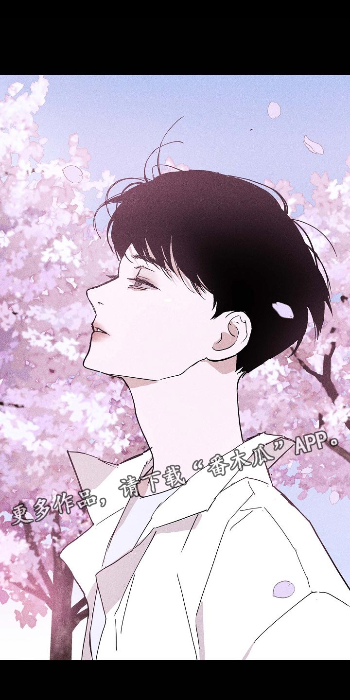 第82章：【第二季】谣言四起2