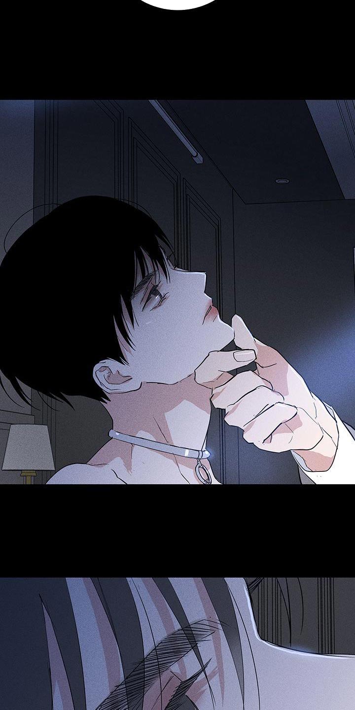第166章：【第二季】不情不愿地猫23