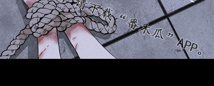 第38章：快打住16